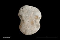 藏品(砝碼形網墜)的圖片